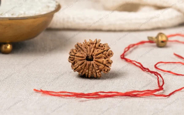 10 Mukhi Rudraksha – Protection, Peace, Mental Clarity & Spiritual Growth
