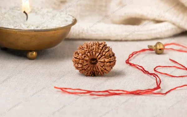 14 Mukhi Rudraksha – Intuition, Protection, Courage, Confidence & Spiritual Growth