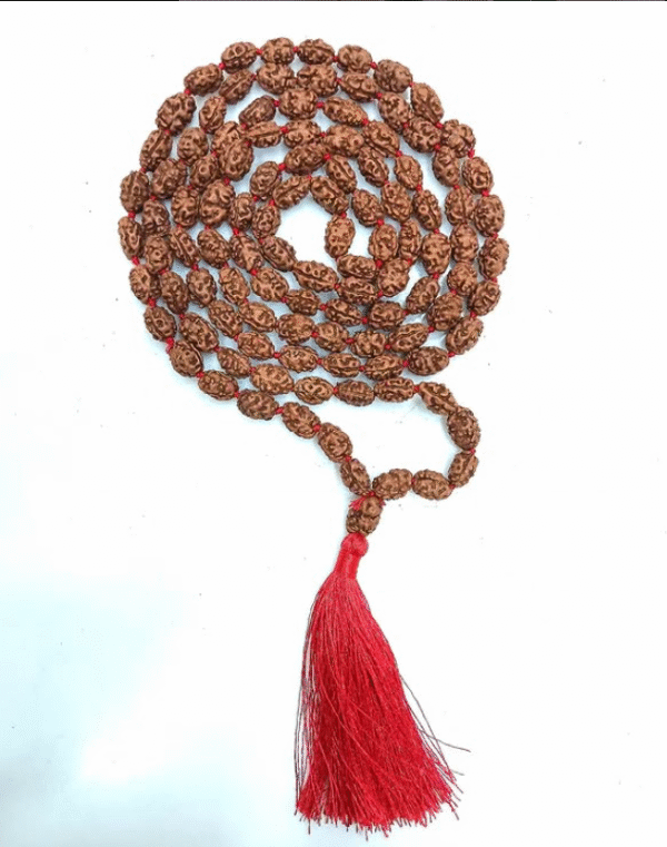 2 Mukhi Rudraksha Mala – Harmony, Emotional Balance, Relationships & Spiritual Growth