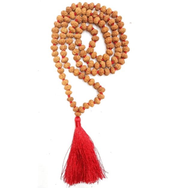 3 Mukhi Rudraksha Mala – Energy, Confidence, Success, Emotional Healing & Spiritual Growth