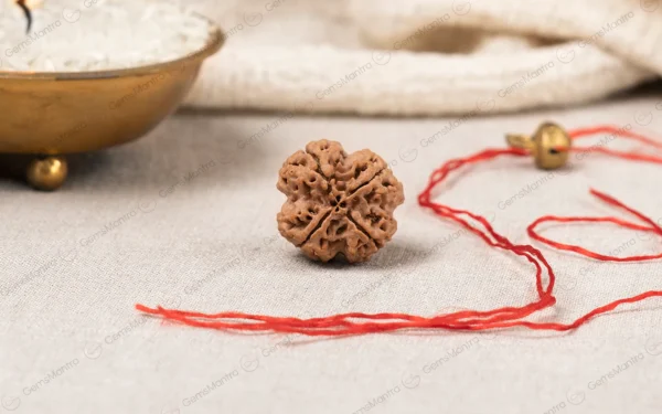 4 Mukhi Rudraksha – Knowledge, Focus, Creativity & Mental Clarity