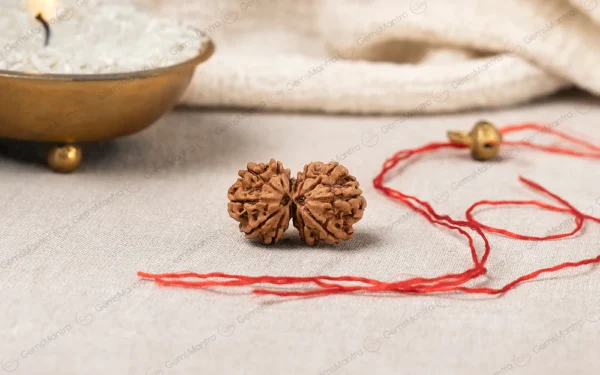Gauri Shankar Rudraksha – Love, Harmony, Relationships, Spiritual Growth & Inner Peace